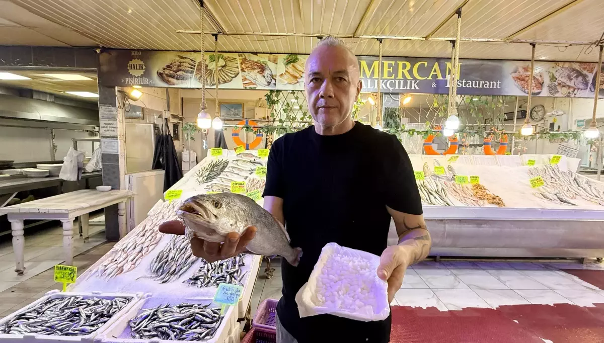 balikta sifali tas inanisi LmdJ5Z58