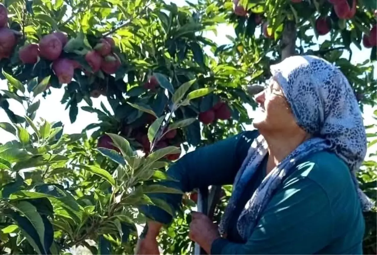 beysehirde elma hasadi basladi golyaka mahallesi umut veriyor TJeemO12