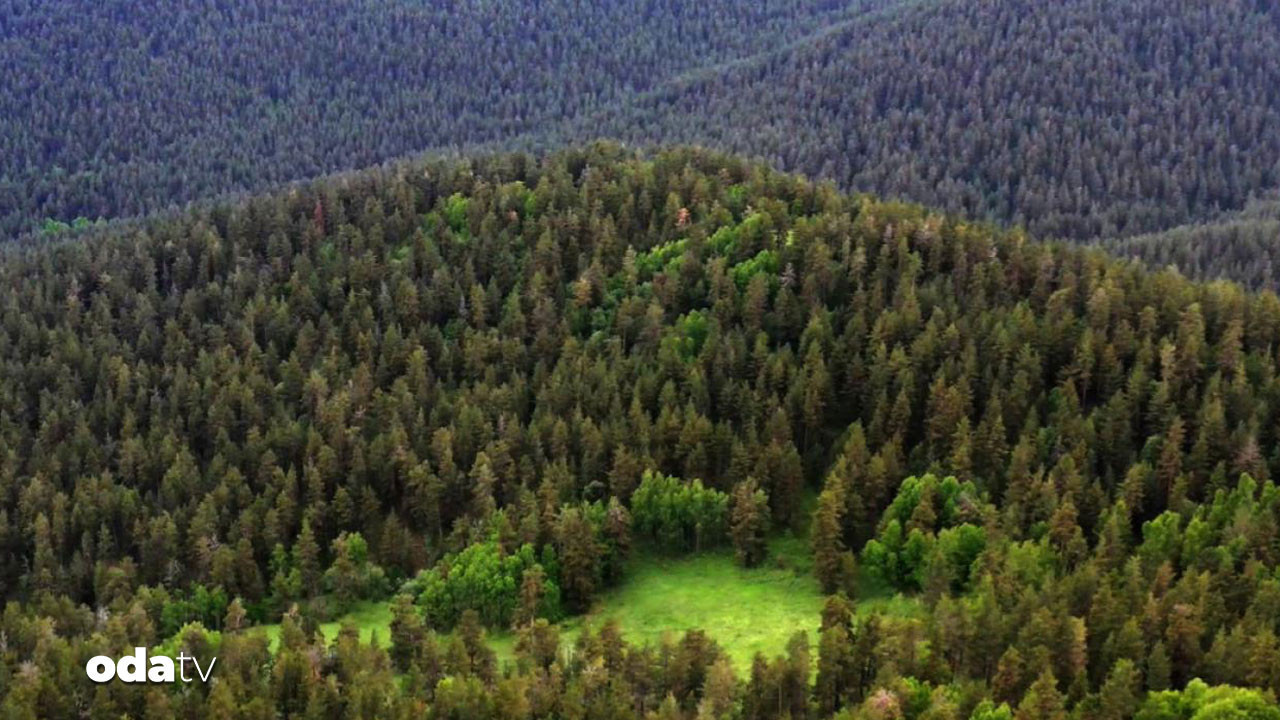 cevre kanunu degisiyor cezalar uctu bNmPQ95W.jpg